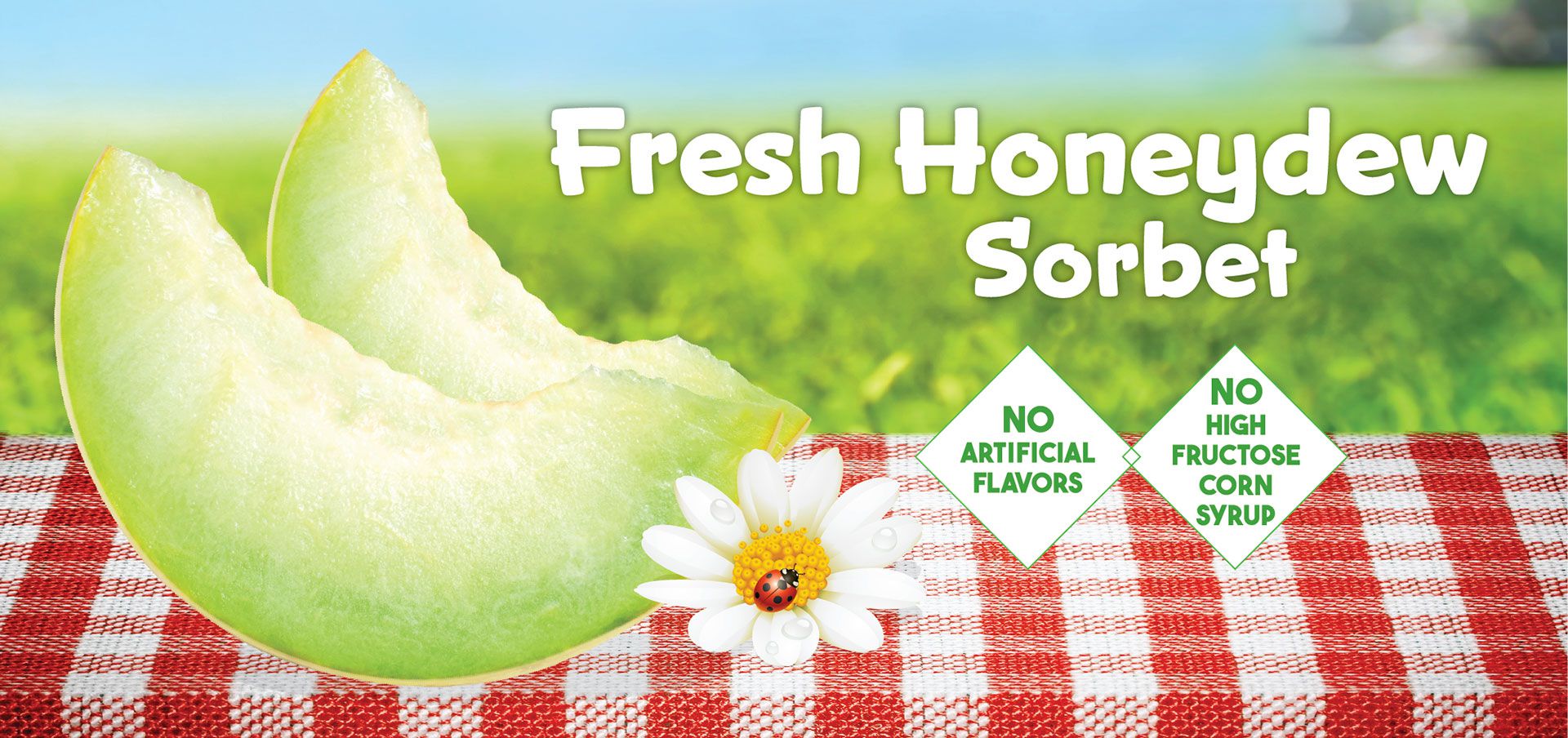 vegan fresh honeydew sorbet label image