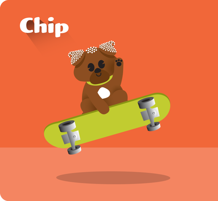 Chip