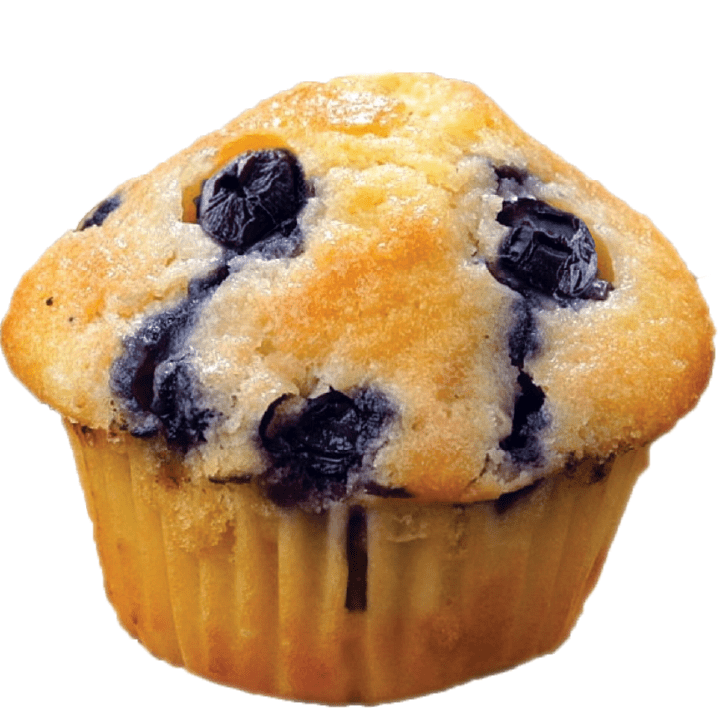 classic blueberry muffin froyo
