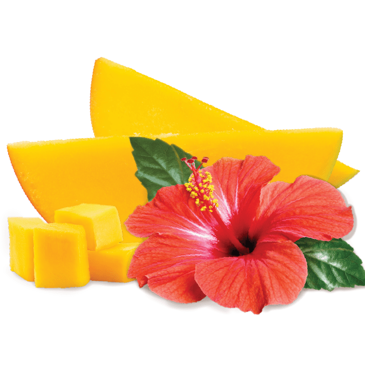 vegan juicy mango hibiscus sorbet out now!